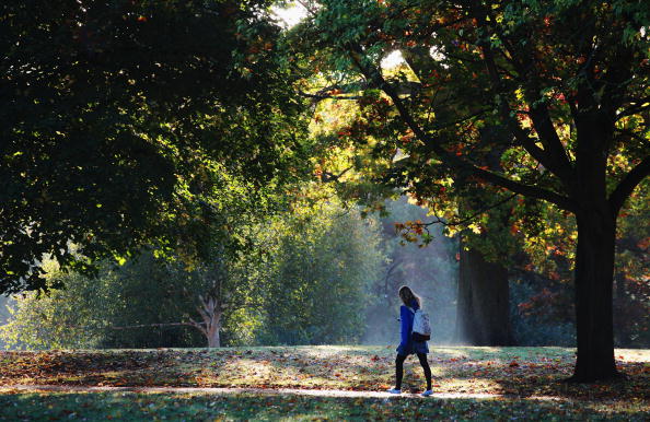 Autumn Colours Throughout The UK